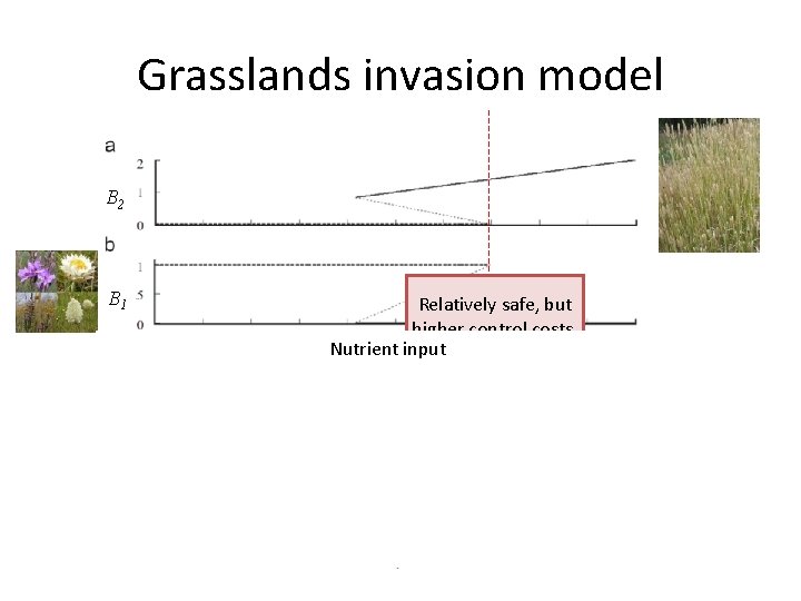 Grasslands invasion model B 2 B 1 Relatively safe, but higher control costs. Nutrient