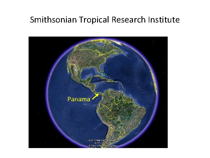 Smithsonian Tropical Research Institute Panama 