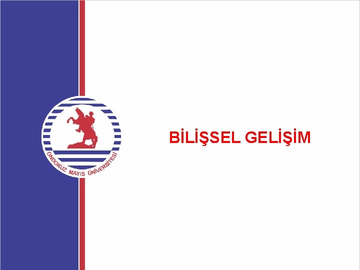 BİLİŞSEL GELİŞİM 