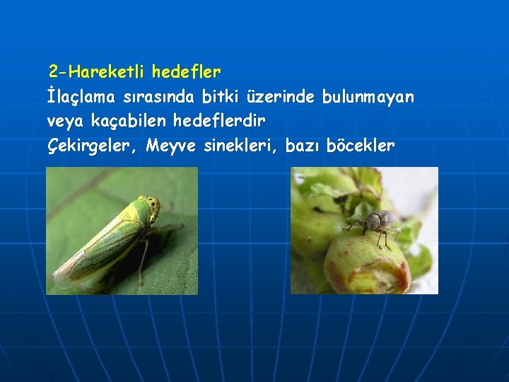 2 -Hareketli hedefler İlaçlama sırasında bitki üzerinde bulunmayan veya kaçabilen hedeflerdir Çekirgeler, Meyve sinekleri,