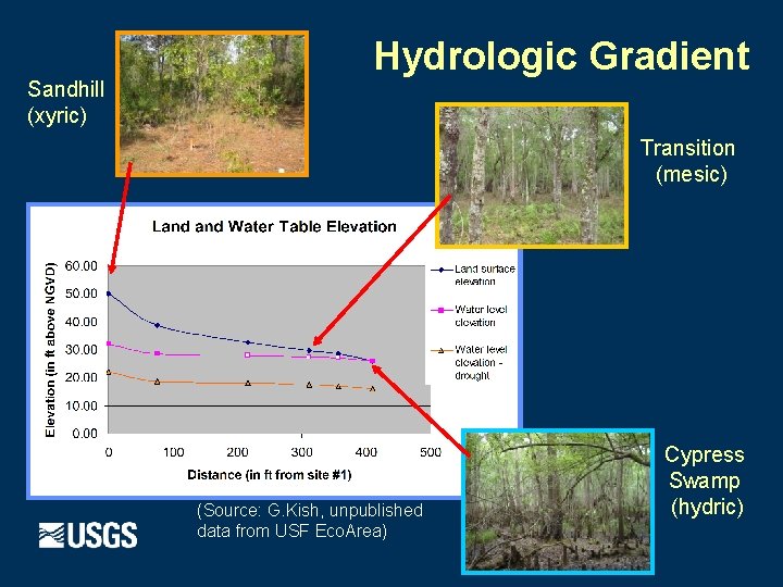Sandhill (xyric) Hydrologic Gradient Transition (mesic) (Source: G. Kish, unpublished data from USF Eco.