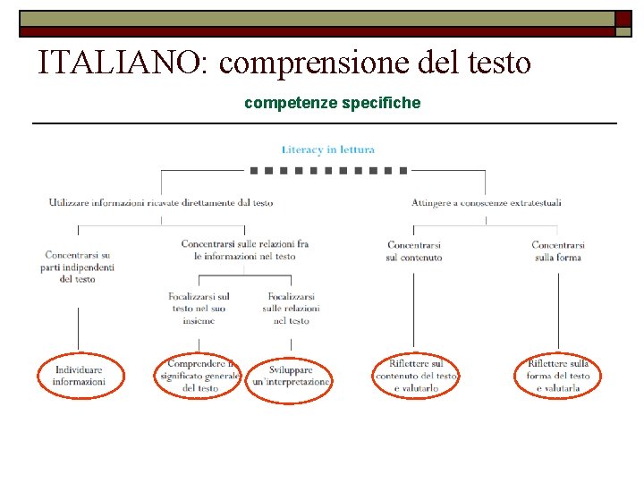 ITALIANO: comprensione del testo competenze specifiche 