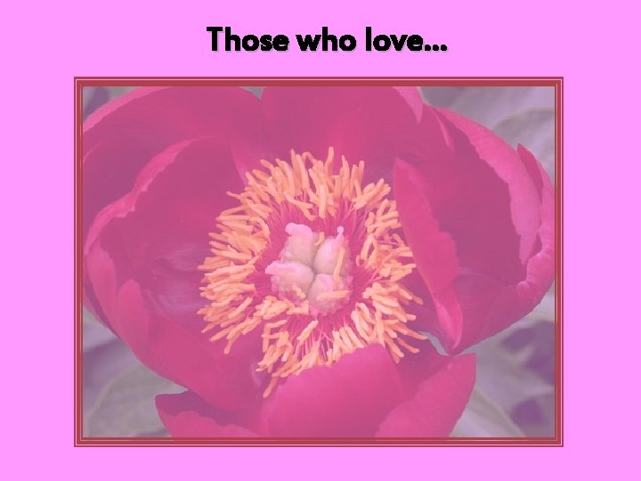 Those who love… 