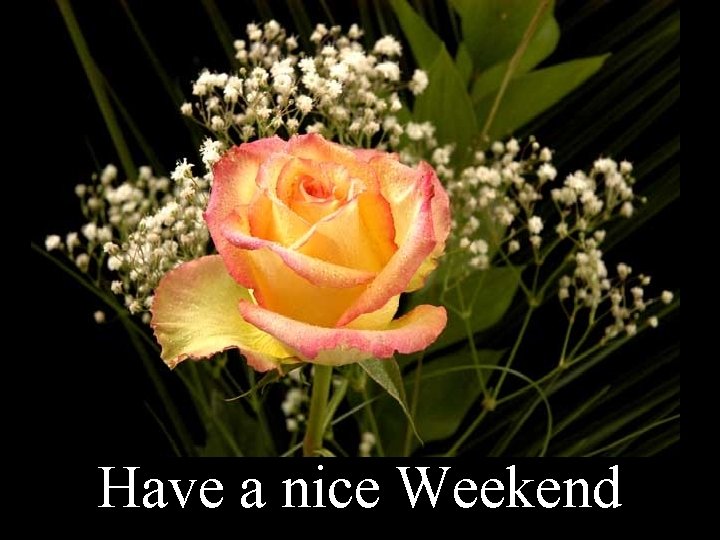 Have a nice Weekend 