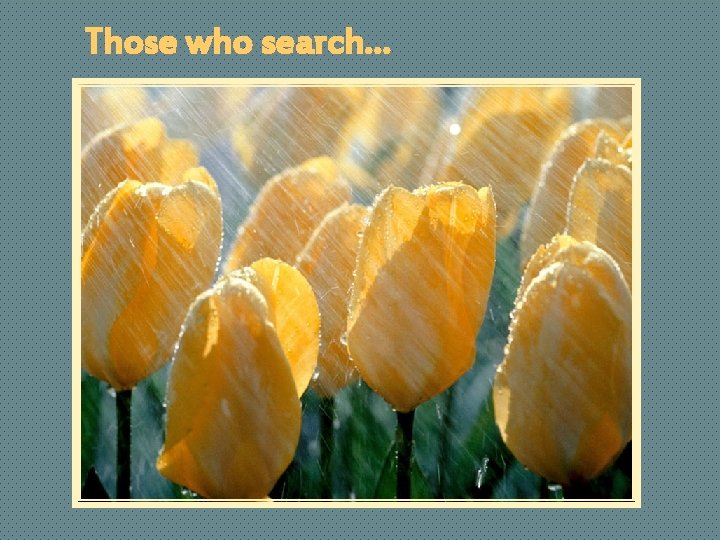 Those who search… 