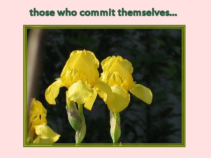 those who commit themselves… 