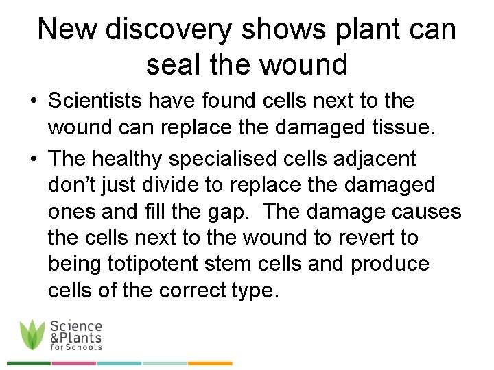 New discovery shows plant can seal the wound • Scientists have found cells next