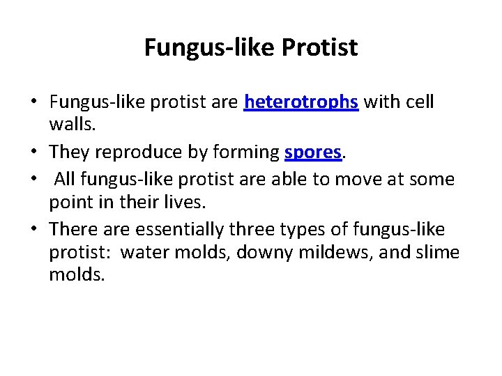 Fungus-like Protist • Fungus-like protist are heterotrophs with cell walls. • They reproduce by