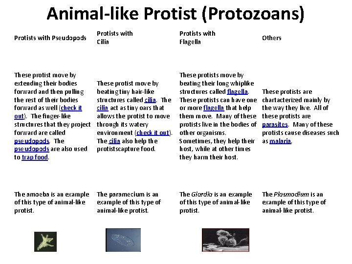 Animal-like Protist (Protozoans) Protists with Pseudopods Protists with Cilia Protists with Flagella These protist