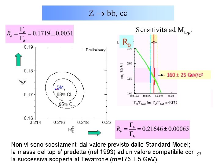 Z bb, cc Sensitività ad Mtop: Non vi sono scostamenti dal valore previsto dallo