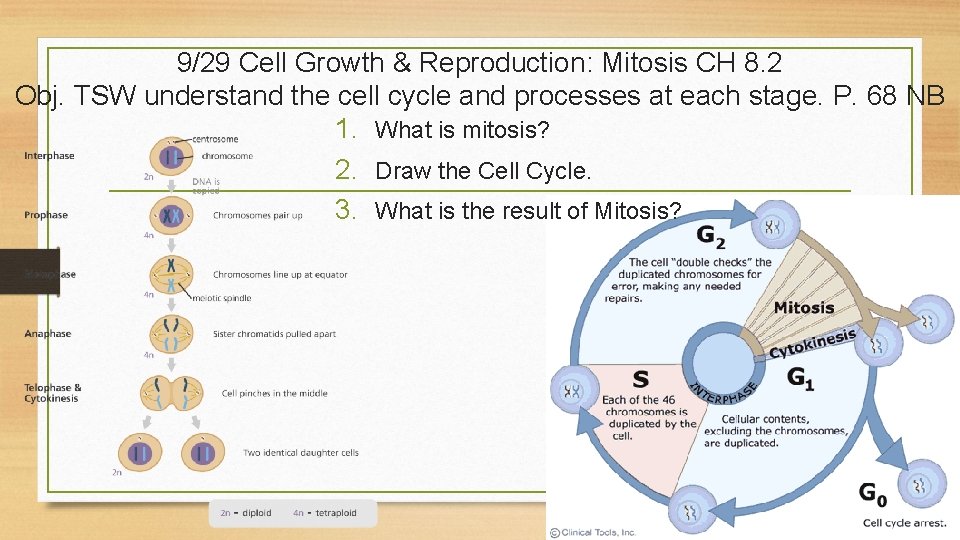 9/29 Cell Growth & Reproduction: Mitosis CH 8. 2 Obj. TSW understand the cell