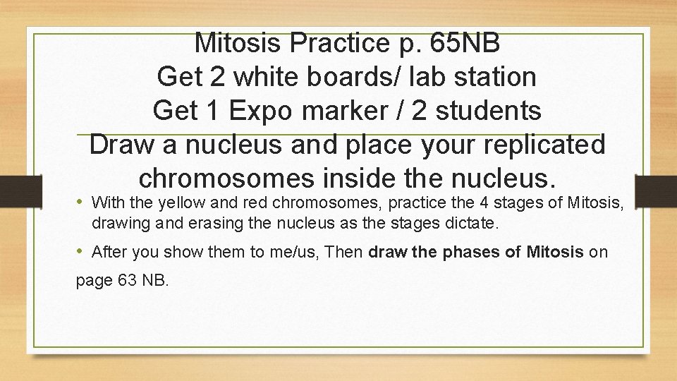 Mitosis Practice p. 65 NB Get 2 white boards/ lab station Get 1 Expo