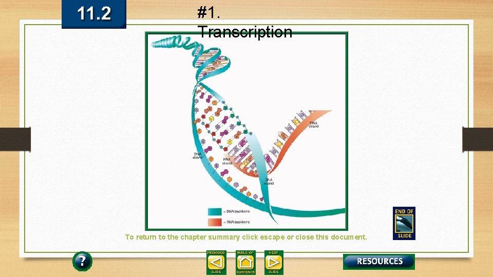 #1. Transcription To return to the chapter summary click escape or close this document.