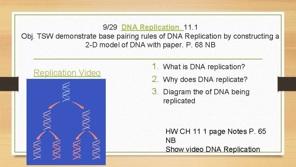 9/29 DNA Replication 11. 1 Obj. TSW demonstrate base pairing rules of DNA Replication