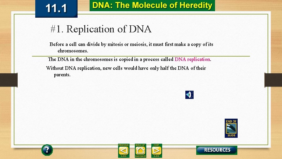 #1. Replication of DNA Before a cell can divide by mitosis or meiosis, it