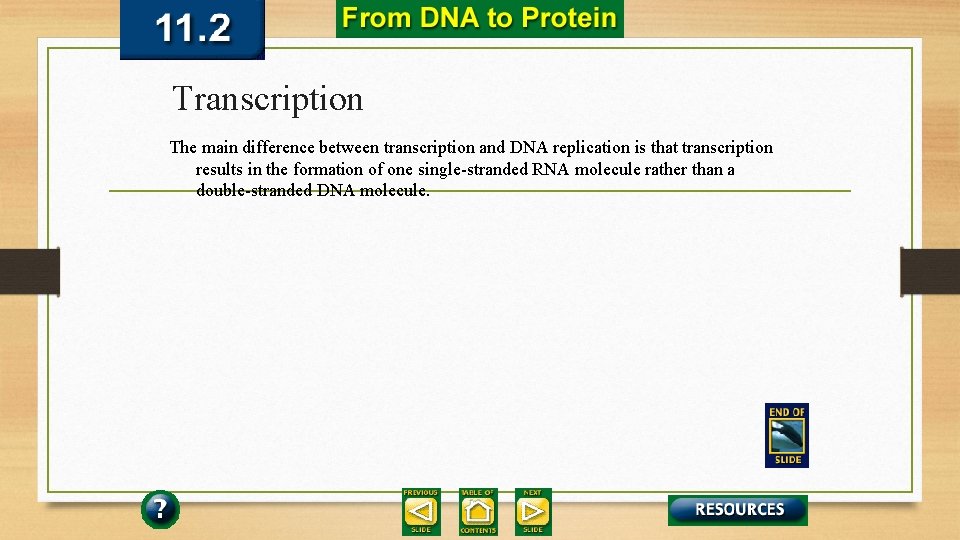 Transcription The main difference between transcription and DNA replication is that transcription results in