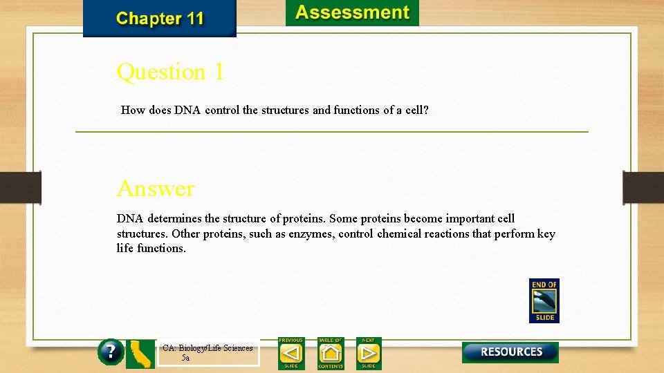 Question 1 How does DNA control the structures and functions of a cell? Answer