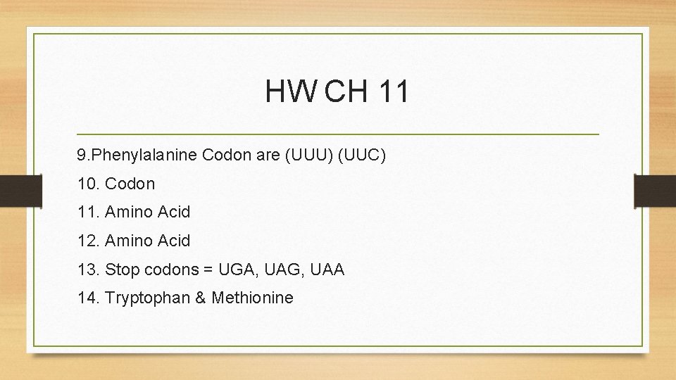 HW CH 11 9. Phenylalanine Codon are (UUU) (UUC) 10. Codon 11. Amino Acid