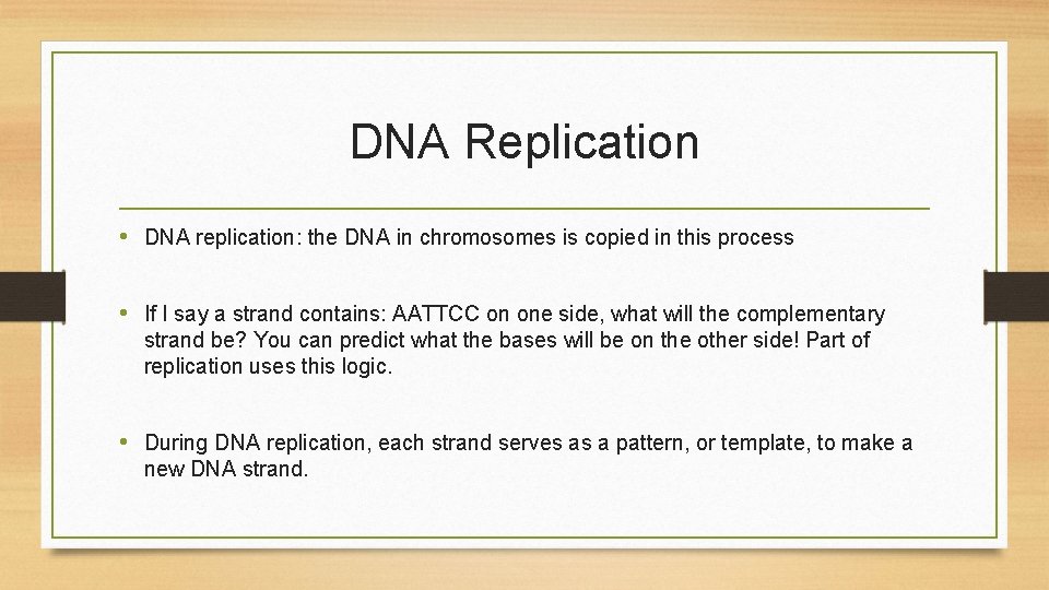 DNA Replication • DNA replication: the DNA in chromosomes is copied in this process