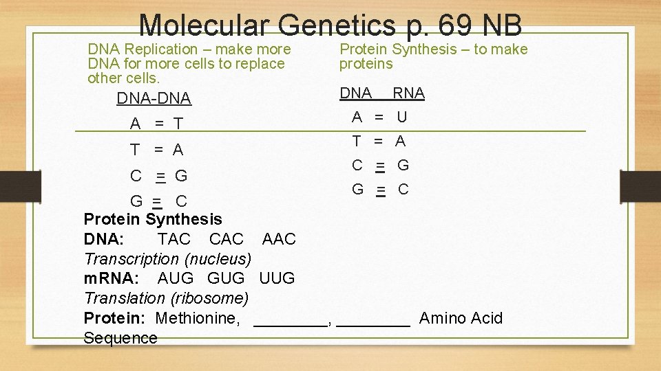 Molecular Genetics p. 69 NB DNA Replication – make more DNA for more cells