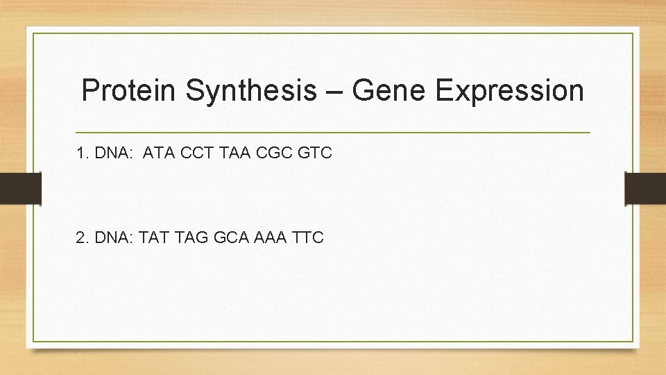 Protein Synthesis – Gene Expression 1. DNA: ATA CCT TAA CGC GTC 2. DNA: