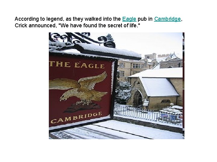 According to legend, as they walked into the Eagle pub in Cambridge, Crick announced,