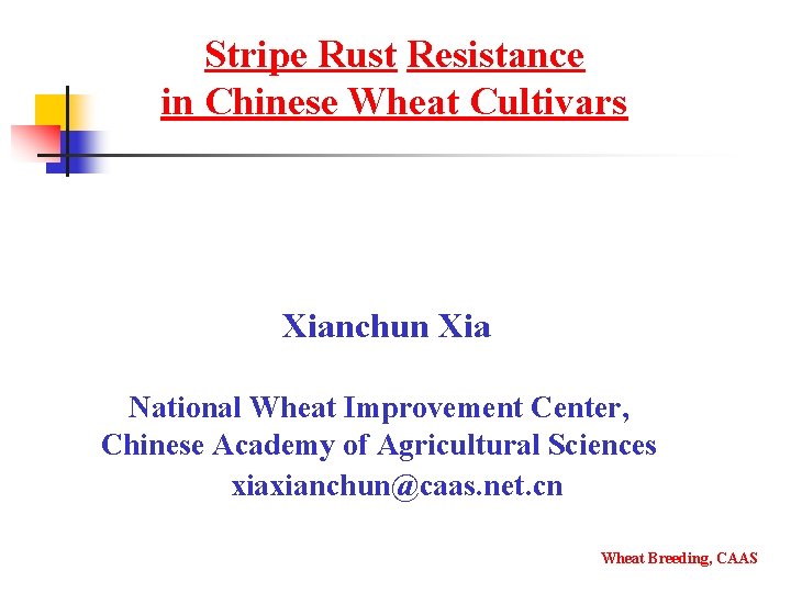 Stripe Rust Resistance in Chinese Wheat Cultivars Xianchun Xia National Wheat Improvement Center, Chinese
