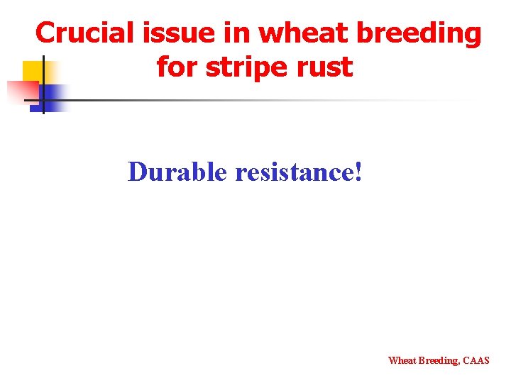 Crucial issue in wheat breeding for stripe rust Durable resistance! Wheat Breeding, CAAS 