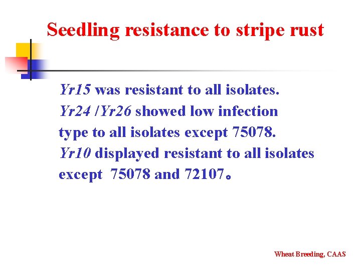 Seedling resistance to stripe rust Yr 15 was resistant to all isolates. Yr 24