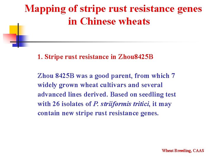 Mapping of stripe rust resistance genes in Chinese wheats 1. Stripe rust resistance in