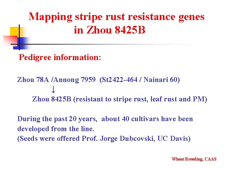 Mapping stripe rust resistance genes in Zhou 8425 B Pedigree information: Zhou 78 A