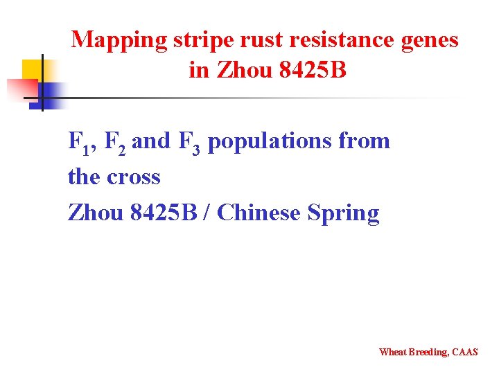 Mapping stripe rust resistance genes in Zhou 8425 B F 1, F 2 and