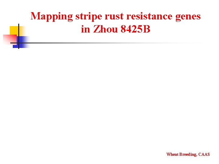 Mapping stripe rust resistance genes in Zhou 8425 B Wheat Breeding, CAAS 