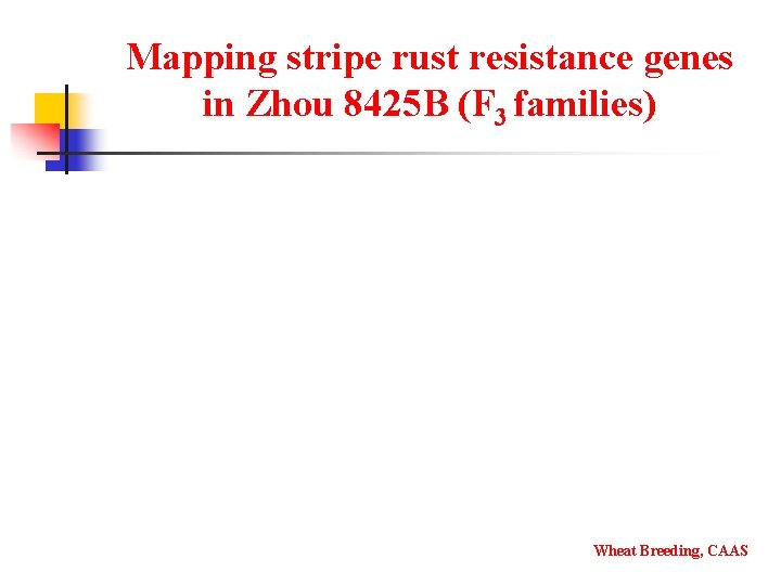 Mapping stripe rust resistance genes in Zhou 8425 B (F 3 families) Wheat Breeding,