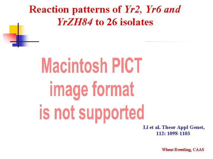 Reaction patterns of Yr 2, Yr 6 and Yr. ZH 84 to 26 isolates