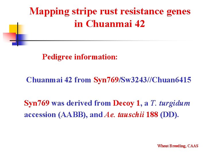 Mapping stripe rust resistance genes in Chuanmai 42 Pedigree information: Chuanmai 42 from Syn