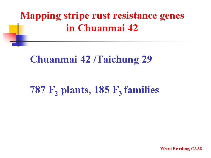 Mapping stripe rust resistance genes in Chuanmai 42 /Taichung 29 787 F 2 plants,