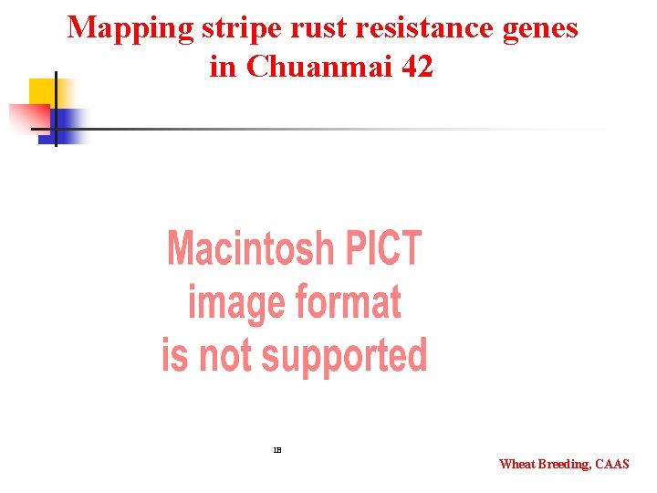 Mapping stripe rust resistance genes in Chuanmai 42 1 B Wheat Breeding, CAAS 