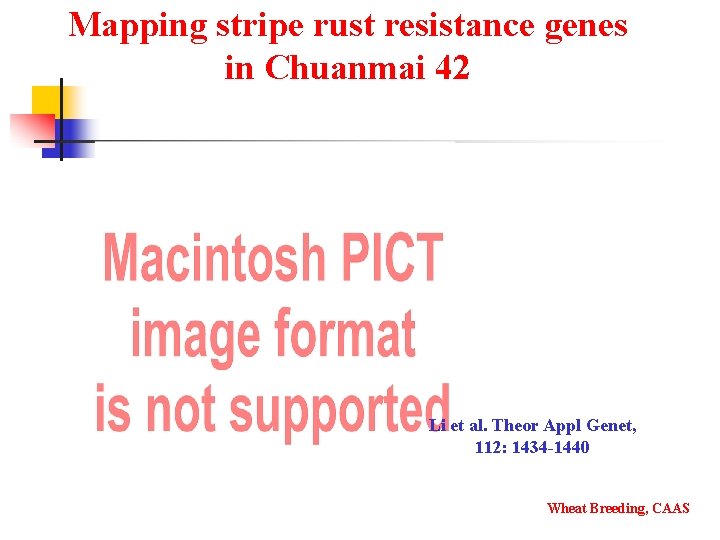 Mapping stripe rust resistance genes in Chuanmai 42 Li et al. Theor Appl Genet,