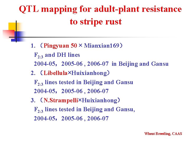 QTL mapping for adult-plant resistance to stripe rust 1. （Pingyuan 50 × Mianxian 169）