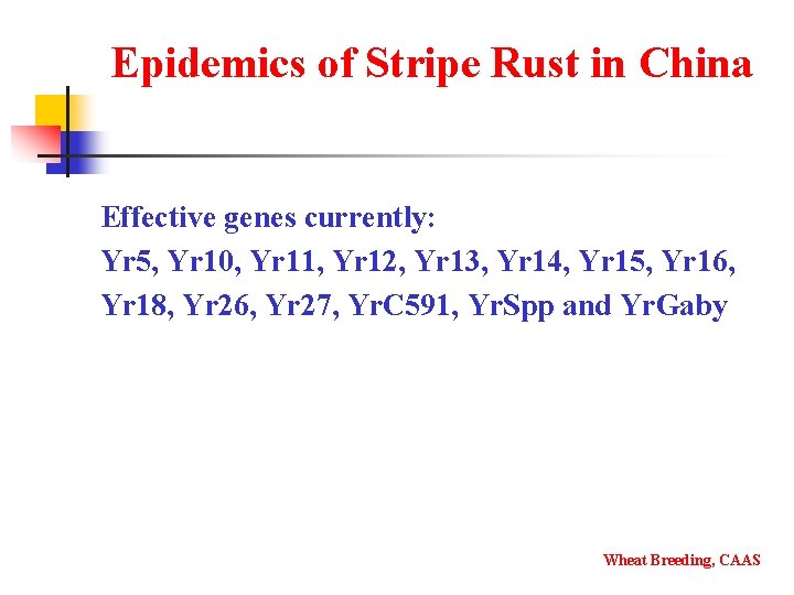 Epidemics of Stripe Rust in China Effective genes currently: Yr 5, Yr 10, Yr