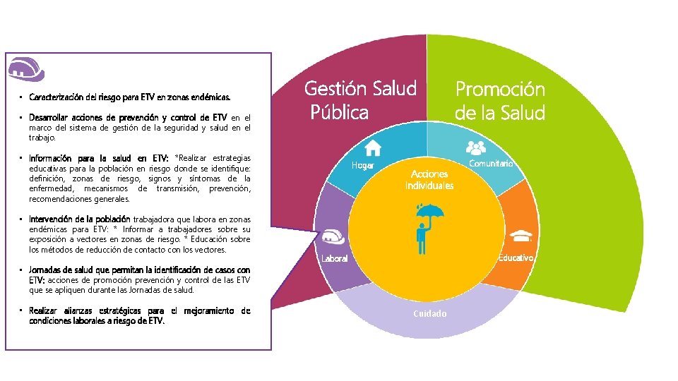  • Caracterización del riesgo para ETV en zonas endémicas. • Desarrollar acciones de