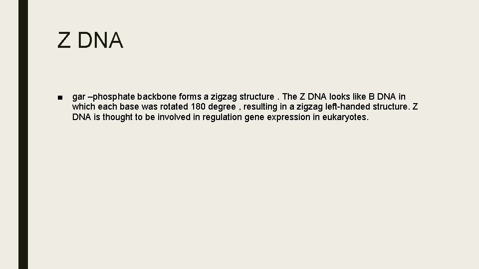 Z DNA ■ gar –phosphate backbone forms a zigzag structure. The Z DNA looks