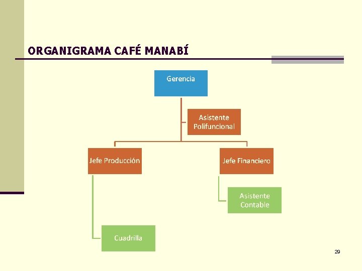 ORGANIGRAMA CAFÉ MANABÍ 29 