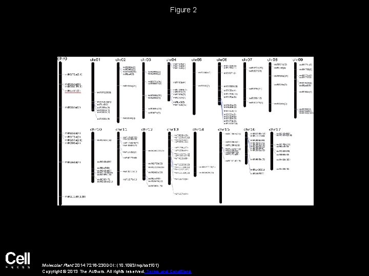 Figure 2 Molecular Plant 2014 7218 -230 DOI: (10. 1093/mp/sst 101) Copyright © 2013