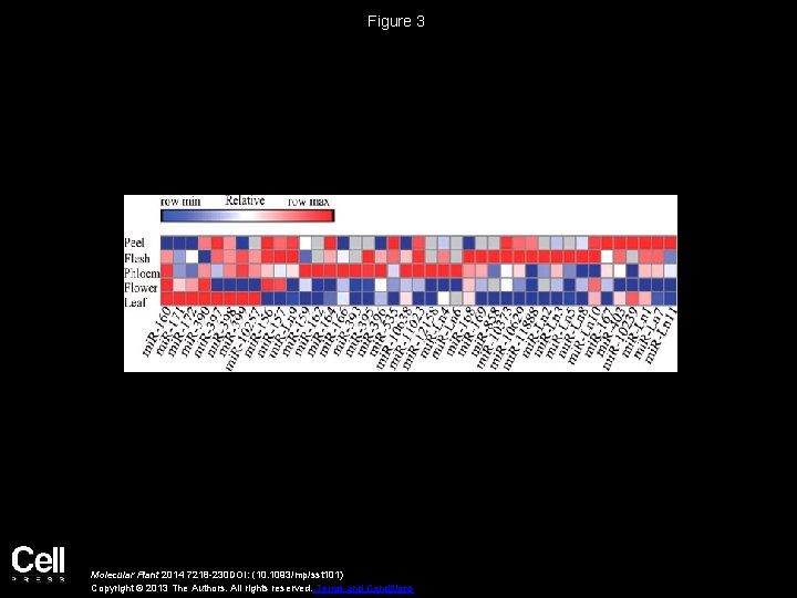 Figure 3 Molecular Plant 2014 7218 -230 DOI: (10. 1093/mp/sst 101) Copyright © 2013