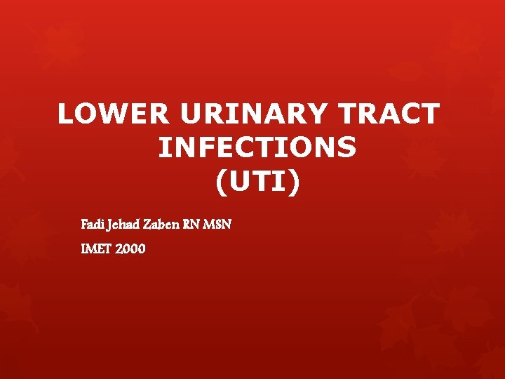 LOWER URINARY TRACT INFECTIONS (UTI) Fadi Jehad Zaben RN MSN IMET 2000 