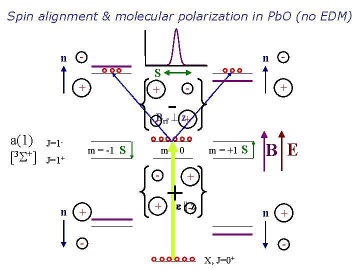 Spin alignment & molecular polarization in Pb. O (no EDM) n - n S