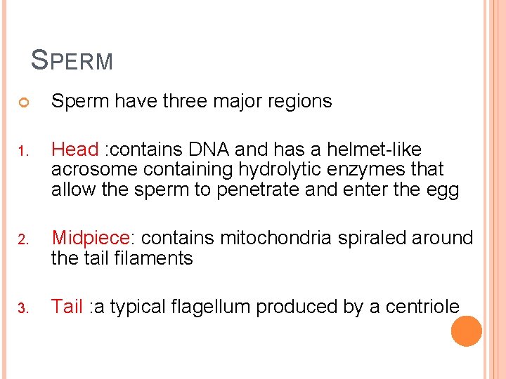 SPERM Sperm have three major regions 1. Head : contains DNA and has a