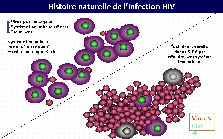 Histoire naturelle de l’infection HIV - Virus peu pathogène - Système immunitaire efficace -